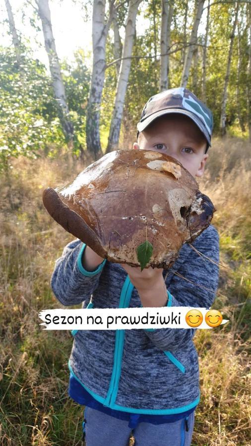 Aris Pokoje Goscinne Wojnicz Exteriör bild